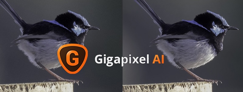 Topaz Gigapixel AI Free Download for PC (Full Version)