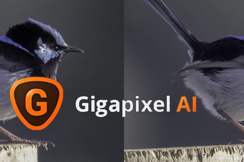 Topaz Gigapixel AI Free Download for PC (Full Version)